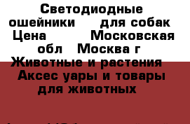 Светодиодные ошейники usb для собак › Цена ­ 550 - Московская обл., Москва г. Животные и растения » Аксесcуары и товары для животных   